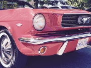 Show and Shine at Hard Rock Casino Show and Shine at Hard Rock Casino