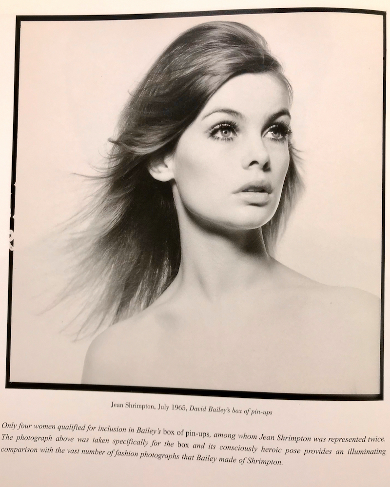 An image of Jean Shrimpton from the book David Bailey The Birth of Cool